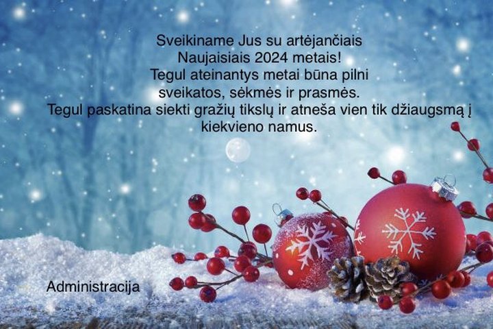 LAIMINGŲ NAUJŲJŲ METŲ!