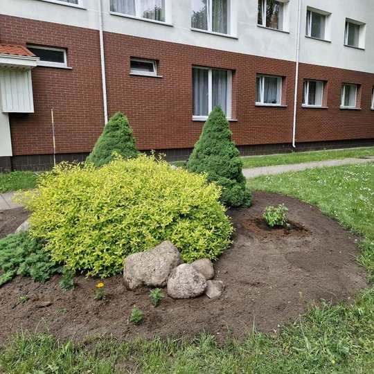 Iliustracija
