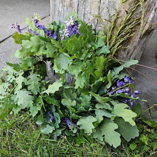 Iliustracija